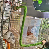 Madárkötél sügér Hajlítható pamut kötélállvány játék papagáj álló bot Madárketrec Rágós hegymászó játékok S/L Tartsa egészségét BirdSuppli