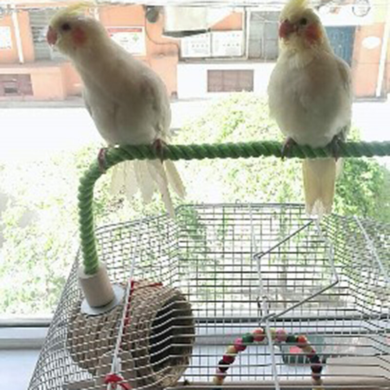 Madárkötél sügér Hajlítható pamut kötélállvány játék papagáj álló bot Madárketrec Rágós hegymászó játékok S/L Tartsa egészségét BirdSuppli