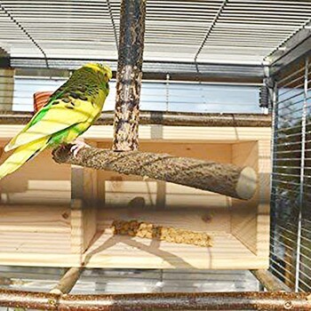 Bird Parrot Cage Toys Training Shape T Perch Grinding Chewing Parakeet Παιχνίδι με βάση από φυσικό ξύλο