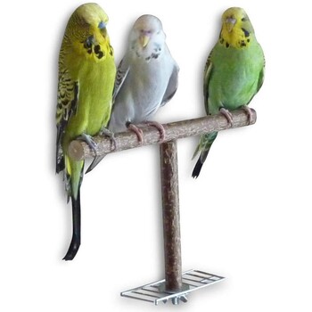 Bird Parrot Cage Toys Training Shape T Perch Grinding Chewing Parakeet Παιχνίδι με βάση από φυσικό ξύλο