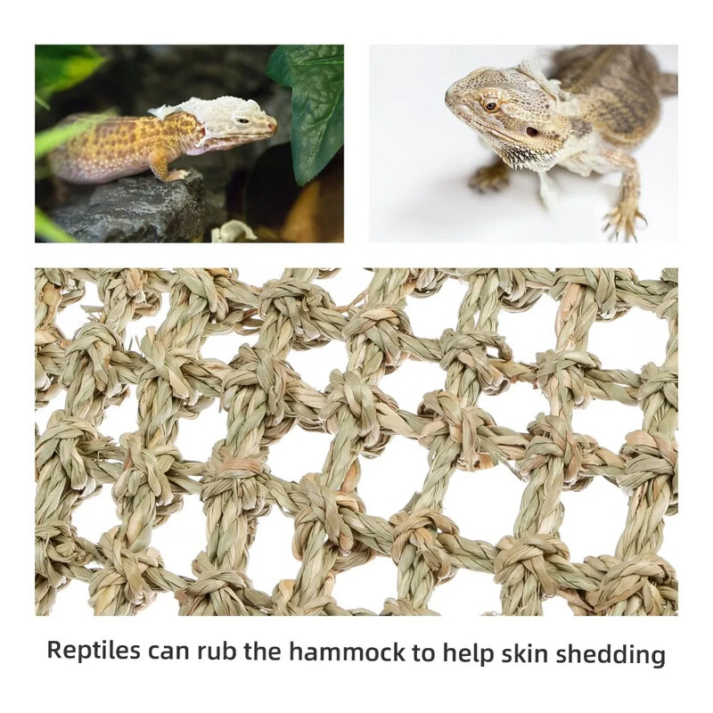 Szakállas sárkány függőágy hüllő nyugágy kaméleon gyíkok gekkó kígyók Lguana hüllők Gekkók fű párna kisállat ágy hinta
