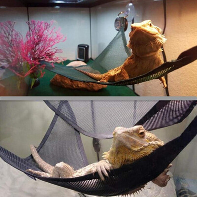 Roplių hamako gultų kopėčių priedų rinkinys dideliems mažiems barzdotiems drakonams Anole Geckos driežams ar gyvatėms Roplių aksesuarai
