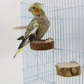 Νέο Pet Parrot Bird Cage Perch Perches Πλατφόρμα Στρογγυλή Ξύλινη σανίδα βάσης για Chinchilla Squirrel Birds Resk Toy 6/8/10cm