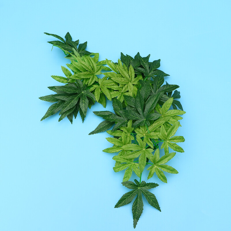 Hamis szőlő hüllőknek Hamis növények hüllőknek Hüllők terráriumhoz tapadókorongokkal Szívókorongos növények hüllőknek