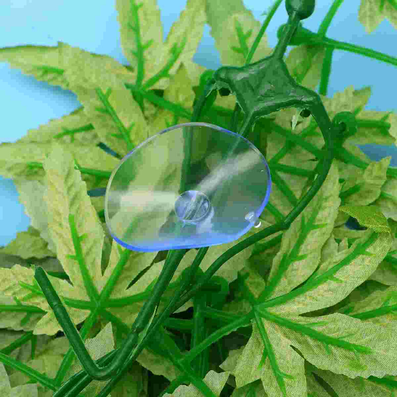 Hamis szőlő hüllőknek Hamis növények hüllőknek Hüllők terráriumhoz tapadókorongokkal Szívókorongos növények hüllőknek