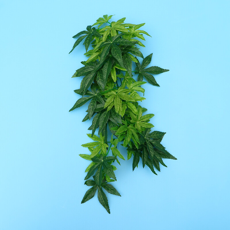 Hamis szőlő hüllőknek Hamis növények hüllőknek Hüllők terráriumhoz tapadókorongokkal Szívókorongos növények hüllőknek