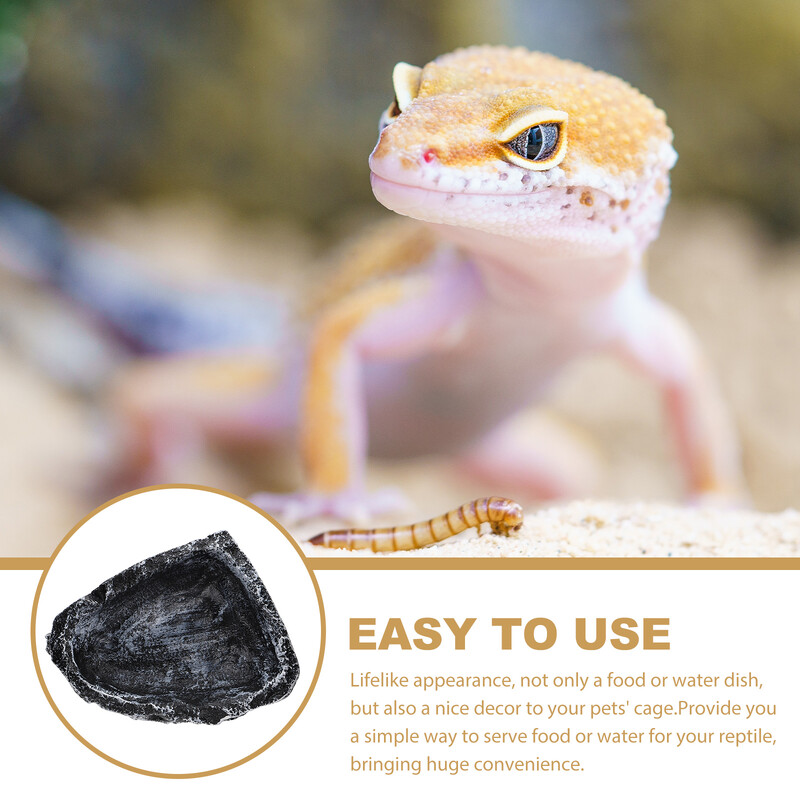 Patvarus vėžlio vandens indas roplių maisto dubuo terariumo talpykla naminių gyvūnėlių šėrimo reikmenys akvariumo dekoras