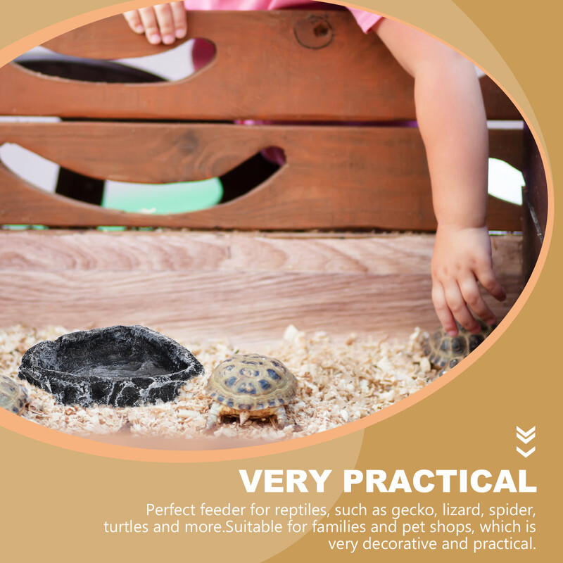 Patvarus vėžlio vandens indas roplių maisto dubuo terariumo talpykla naminių gyvūnėlių šėrimo reikmenys akvariumo dekoras