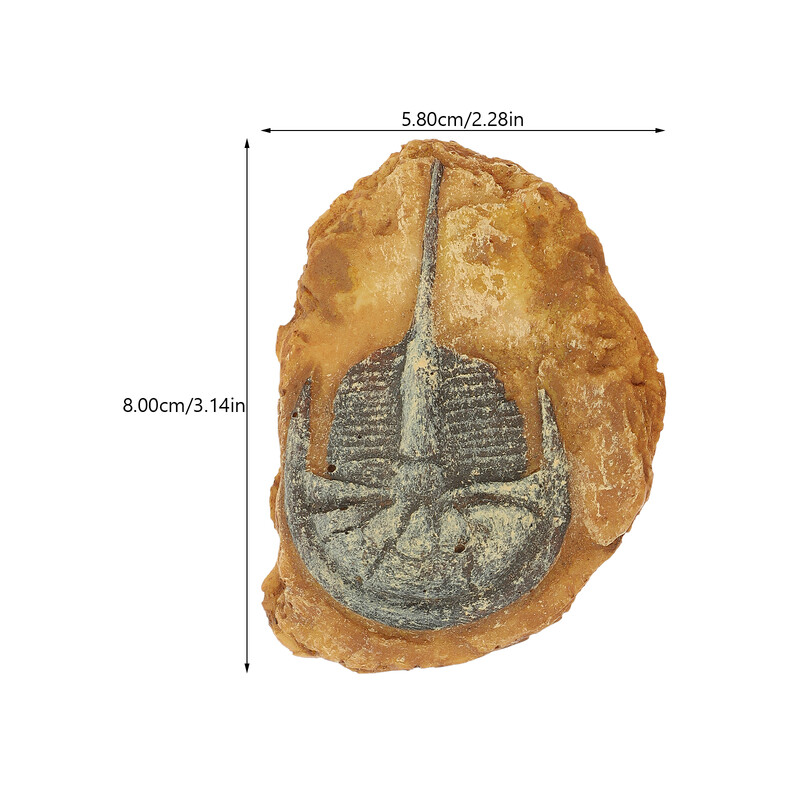 2 τμχ Προσομοιωμένη Ρητίνη Απολιθωμένο Γκέκο Ερπετοειδών Διακοσμήσεις Terrarium για Διακοσμητικά Αξεσουάρ Δεξαμενής Ψαριών Σέρνεται Τοπίο