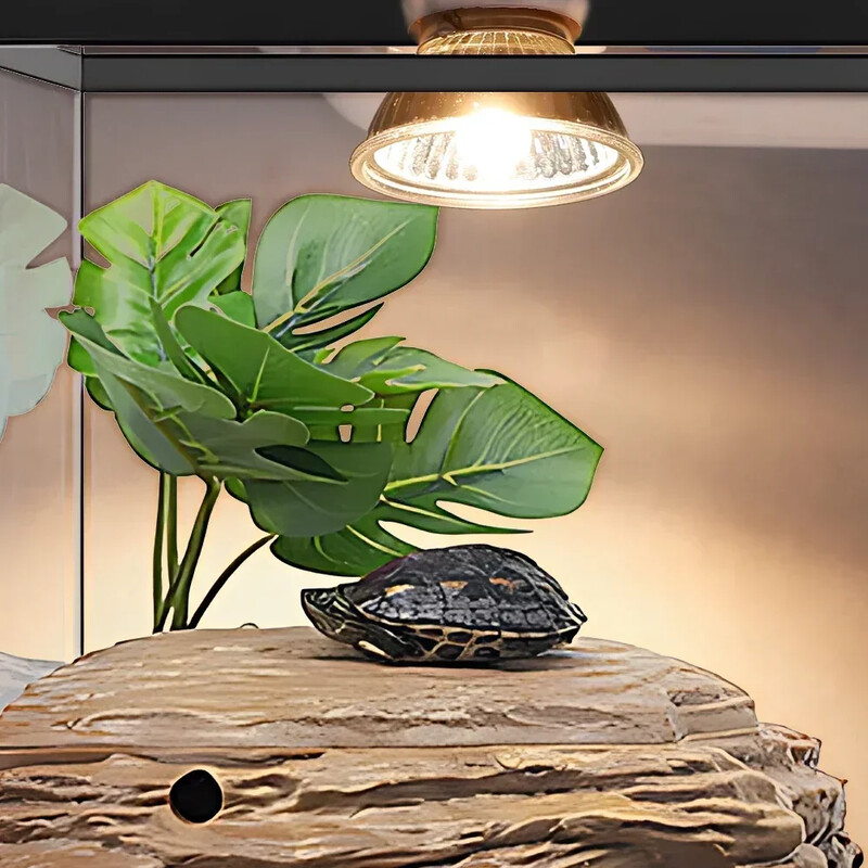 75/50/25 W Vėžlio driežo kepimo lempa UVB lemputė UV E27 lemputės Varliagyviai Gyvatė Ropliai Šildymas Saulėje Kalcio papildas