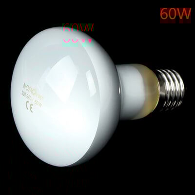 UVA+UVB Ερπετοειδές Λάμπα Χελώνα Χελώνα Λαμπτήρες UV Λαμπτήρες θέρμανσης Αμφίβια Σαύρες Ελεγκτής θερμοκρασίας