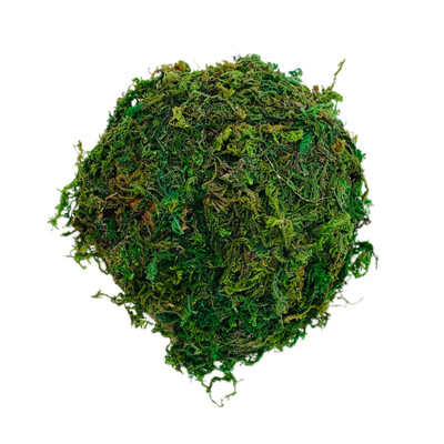 Ascunzătoare pentru reptile Casă terariu Rezervor pentru hamsteri Adăpost broască țestoasă Platformă pentru găzduire țestoasă Habitat Peșteră Gecko Nucă de cocos Fermă de șopârle