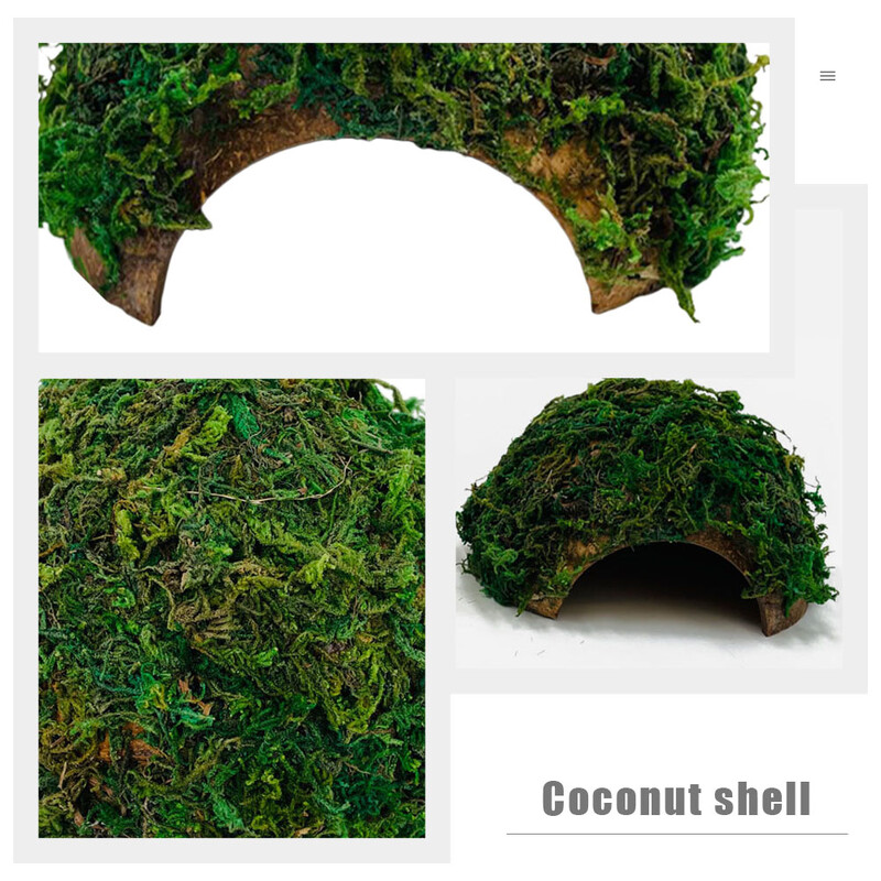 Ascunzătoare pentru reptile Casă terariu Rezervor pentru hamsteri Adăpost broască țestoasă Platformă pentru găzduire țestoasă Habitat Peșteră Gecko Nucă de cocos Fermă de șopârle