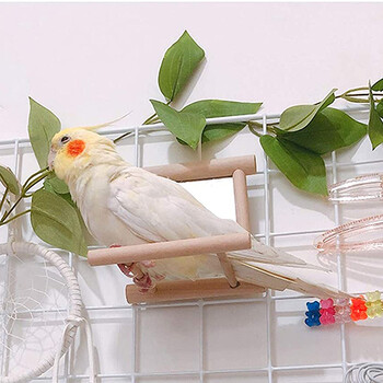 Bird Mirror With Perch Bird Perch Mirror Toy Stand Παιχνίδι πουλιών για Parrot Parakeets Cockatiels Cage