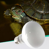 25/50/100W UVA+UVB Reptile Lamp Bulb Bruņurupucis Basking UV gaismas spuldzes Apkures lampa Abinieki Ķirzakas Temperatūras kontrolieris 220V