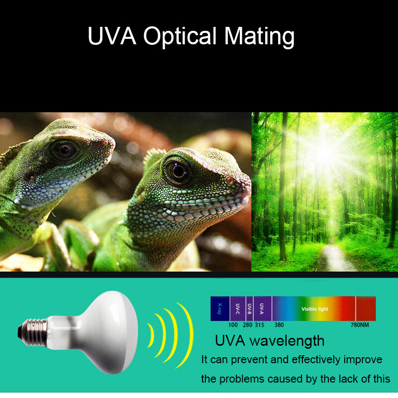 25/50/100W UVA+UVB Reptile Lamp Bulb Bruņurupucis Basking UV gaismas spuldzes Apkures lampa Abinieki Ķirzakas Temperatūras kontrolieris 220V