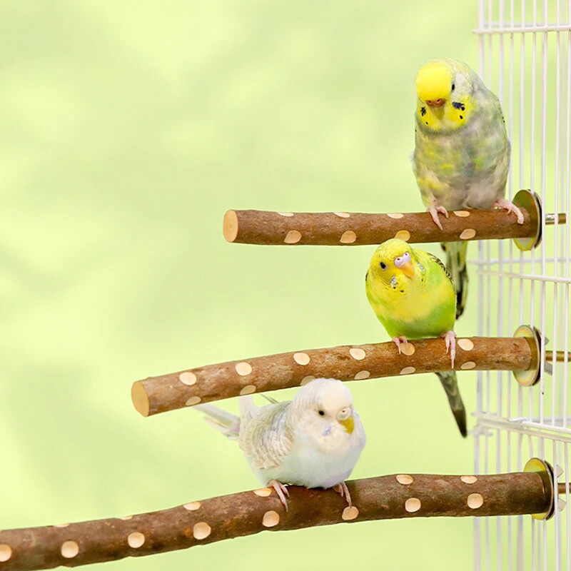 15/20/30 cm Medinis paukščių letenų snapas šlifavimo strypas, stovimas pagaliukas, letenas paukščių reikmenys narvų priedai Papūgos stoties šlifavimo stovas žaislas