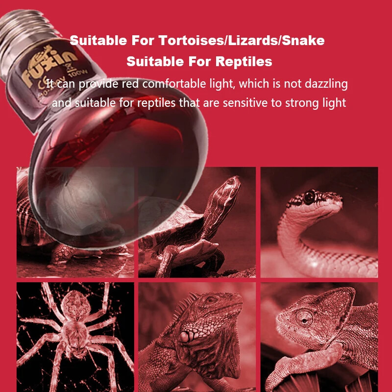 220–240 V raudona šildymo lempa 25 W 50 W 75 W 100 W infraraudonųjų spindulių izoliacinė lemputė, skirta varliagyvių roplių gyvačių driežų gyvuliams