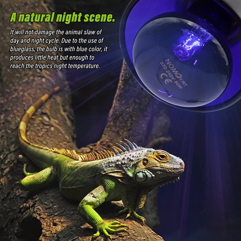 Kisállat fűtőlámpa E27 éjszakai lámpa kétéltű kígyóhoz lámpa hőlégkör, UV fény 25W 50W 75W 100W AC220-240V