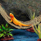 Hojdacia sieť Lizard, plazy, obývajúce dekorácie, terárium, prírodné vlákno z morskej trávy, lehátko, malé kraby pustovníky, gekóny, posteľ, vtáky, rohože