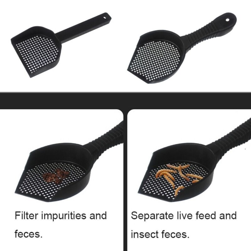 Mazo caurumu kāmju pakaišu lāpsta Pakarināmā čūskas sijāja kausiņa tīrīšana