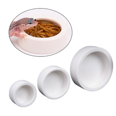 Reptile Water Food Bowl Mini kerek etető Lisztférgek Tál Szakállas Sárkány Gekkó Remete Rák Repti Tücsöktál kisállat etető kellék
