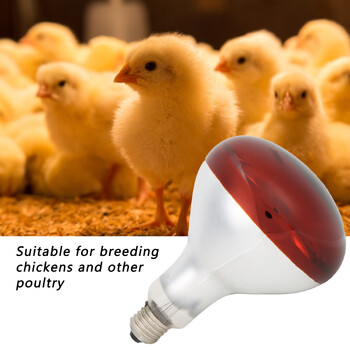 Chicks Heat Lamp Bulb Infrared Basking Spot Heat Reptile Heat Lamp Red Bulb for Brooder 220V / 250W