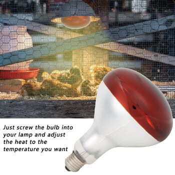 Chicks Heat Lamp Bulb Infrared Basking Spot Heat Reptile Heat Lamp Red Bulb for Brooder 220V / 250W