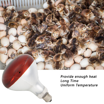 Chicks Heat Lamp Bulb Infrared Basking Spot Heat Reptile Heat Lamp Red Bulb for Brooder 220V / 250W