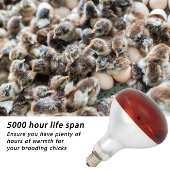 Chicks Heat Lamp Bulb Infrared Basking Spot Heat Reptile Heat Lamp Red Bulb for Brooder 220V / 250W