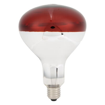 Chicks Heat Lamp Bulb Infrared Basking Spot Heat Reptile Heat Lamp Red Bulb for Brooder 220V / 250W