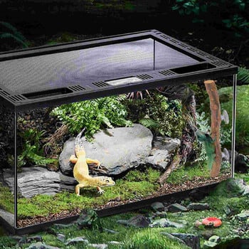 Lizard Pet Stand Αξεσουάρ ερπετών Διακόσμηση κλουβιού Παιχνίδι Terrarium Ενδιαφέροντα αναρριχητικό ξύλο σταφυλιού λοφιοφόρο gecko Ξύλινο κλαδί δέντρου