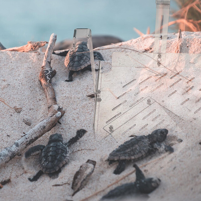 Terasă țestoasă Rampă de uz casnic Aprovizionare cu broaște țestoasă Platformă de pescuit rezistentă la uzură Amfipod Broaște Decor Transparent Dock Animal