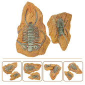 2 buc. figurine de jucărie cu animale de mare ornament pentru terariu, rășină simulată, fosilă, peisaj târât, trilobit