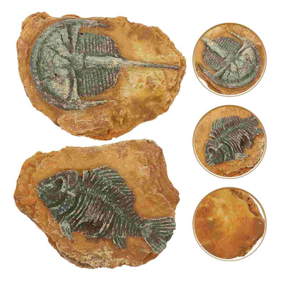 2 buc. figurine de jucărie cu animale de mare ornament pentru terariu, rășină simulată, fosilă, peisaj târât, trilobit