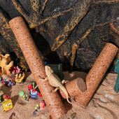 Αξεσουάρ ερπετών Μαλακό ξύλο αναρριχητικό κλαδί Ξύλινο ντεκόρ παιχνιδιών Terrarium Rack Tank Standing Lizard Tree Crested gecko