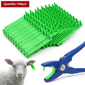 100 kom. Ovca, koza, kartica s ušnom markicom, laserska naušnica za glavu za domaće životinje, zelena identifikacijska kartica, naušnice za stoku