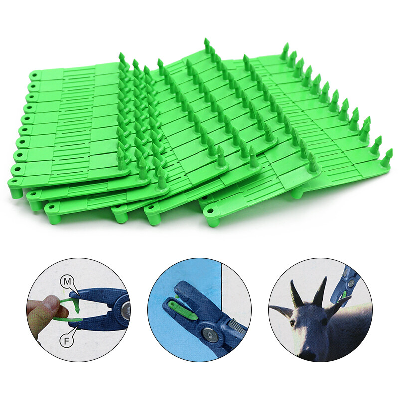 100 kom. Ovca, koza, kartica s ušnom markicom, laserska naušnica za glavu za domaće životinje, zelena identifikacijska kartica, naušnice za stoku