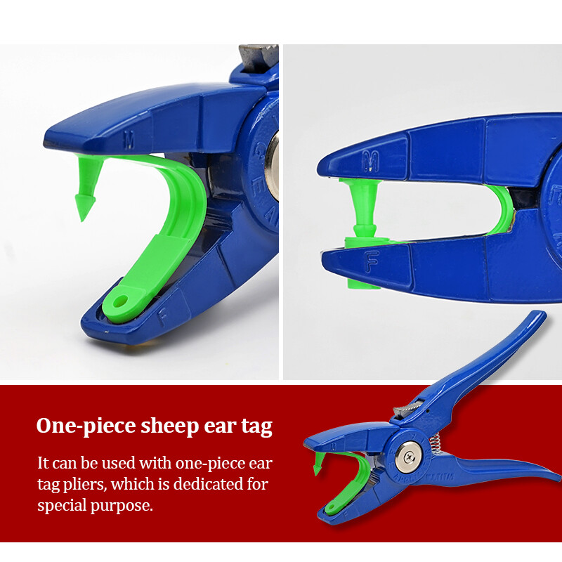 100 kom. Ovca, koza, kartica s ušnom markicom, laserska naušnica za glavu za domaće životinje, zelena identifikacijska kartica, naušnice za stoku