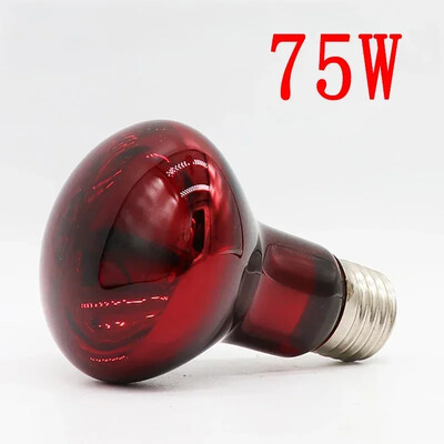 220V UVA αμφίβια κόκκινη λάμπα θέρμανσης 25W 50W 100W υπέρυθρη γυάλινη λάμπα αξεσουάρ για ερπετά Snake Lizards