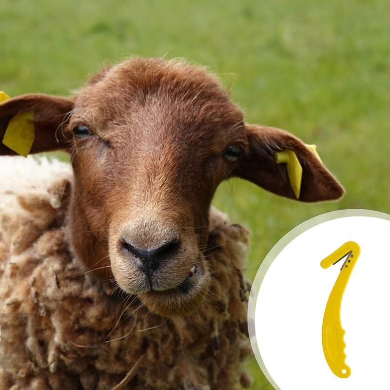 Instrument de tăiere a etichetelor de animale Cutter de tăiere a etichetelor de urechi Instrument solid pentru îndepărtarea etichetelor de urechi Dispozitiv de tăiere a marcajului de etichete de urechi pentru animale Sigur de utilizat pentru oi