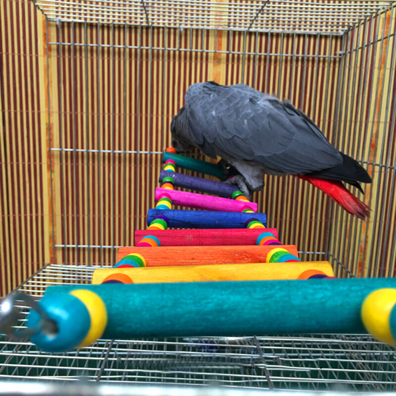 Madarak Háziállatok Papagájok Létrák Mászójáték Függő színes golyók természetes fával és rágójátékokkal Lengőhíd