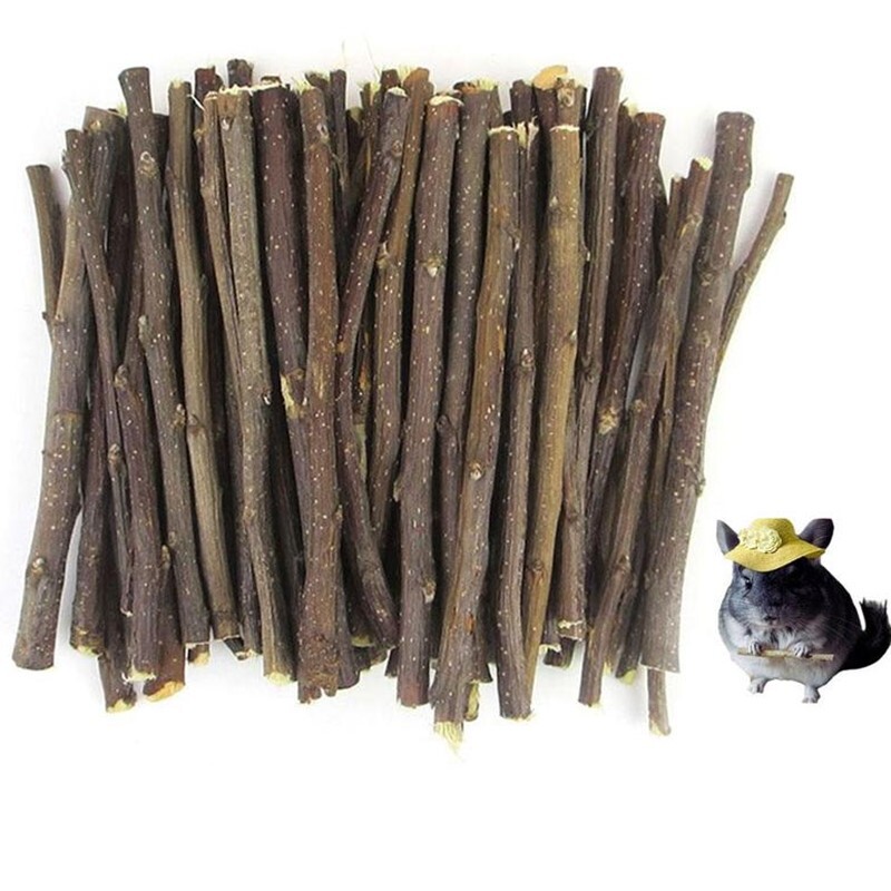 100g žuvacia tyčinka na vetvičku jablone, malé domáce zvieratá, činčily, holandské prasa, škrečok, uhryznutie, stoličky, čisté zuby, prírodné drevené hračky