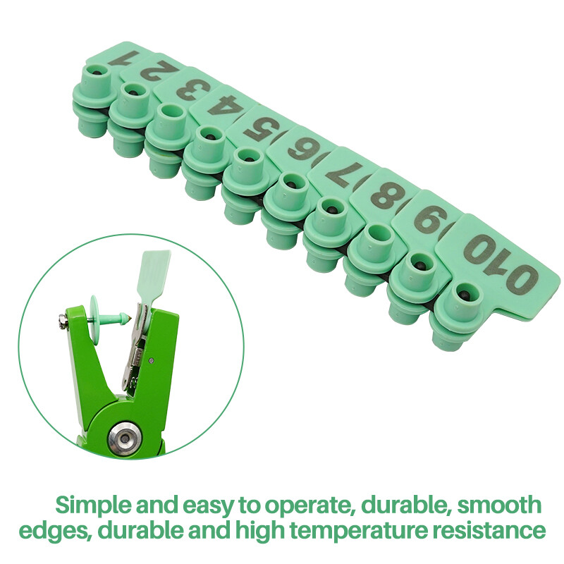 100 vnt Kiaulės ožkos auskarai Gyvūno vario galvos auskarai kiaulės įranga Gyvūnų galvijų identifikavimo kortelės Avių kiaulių ženklinimo įrankiai