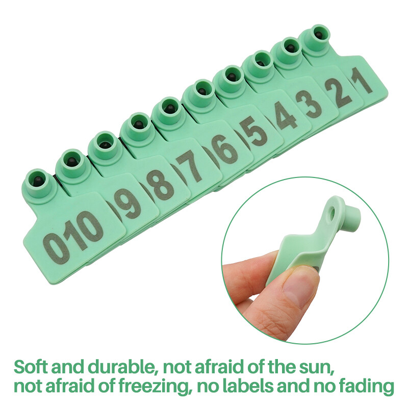 100 vnt Kiaulės ožkos auskarai Gyvūno vario galvos auskarai kiaulės įranga Gyvūnų galvijų identifikavimo kortelės Avių kiaulių ženklinimo įrankiai