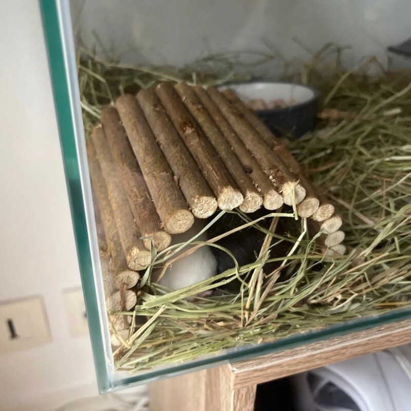 Culoare aleatorie Animale de companie mici, ramură de salcie, iepure, jucării de mestecat, hamster, molari, totoro, scară de cățărat, gard, jucărie cu arc.