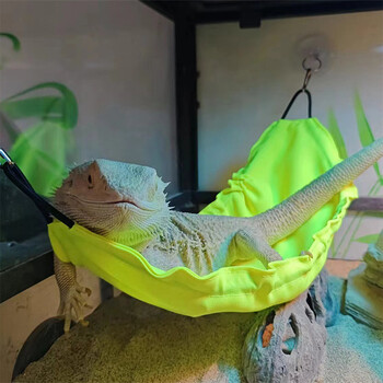 Αιώρα Reptology Lizard με βεντούζες Bearded Dragon Tank Αξεσουάρ για φίδια Geckos Hamster