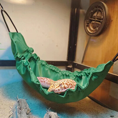 Reptology Driežo hamakas su siurbtukais Barzdoto drakono bako priedai gyvatėms Gekonų žiurkėnui