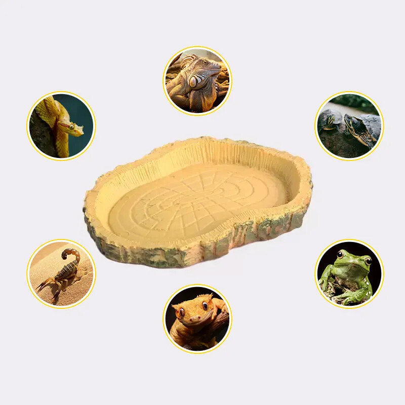 Bol pentru hrana pentru animale de companie târât, tavă pentru hrana pentru animale de companie țestoasă, material din rășină, potrivit pentru toate tipurile de animale de companie care se târăsc