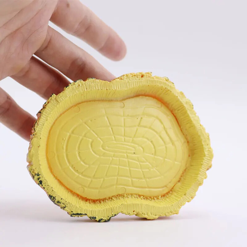 Bol pentru hrana pentru animale de companie târât, tavă pentru hrana pentru animale de companie țestoasă, material din rășină, potrivit pentru toate tipurile de animale de companie care se târăsc